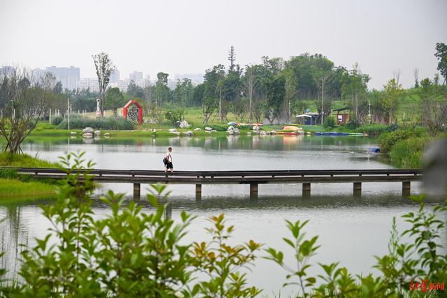 城势而上│魏建国：如何布局公园城市，才能真正“乘风破浪”？